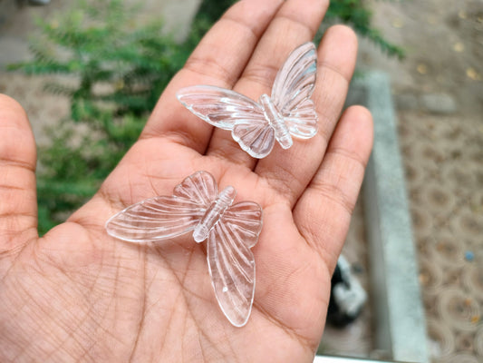 Acrylic bytterfly